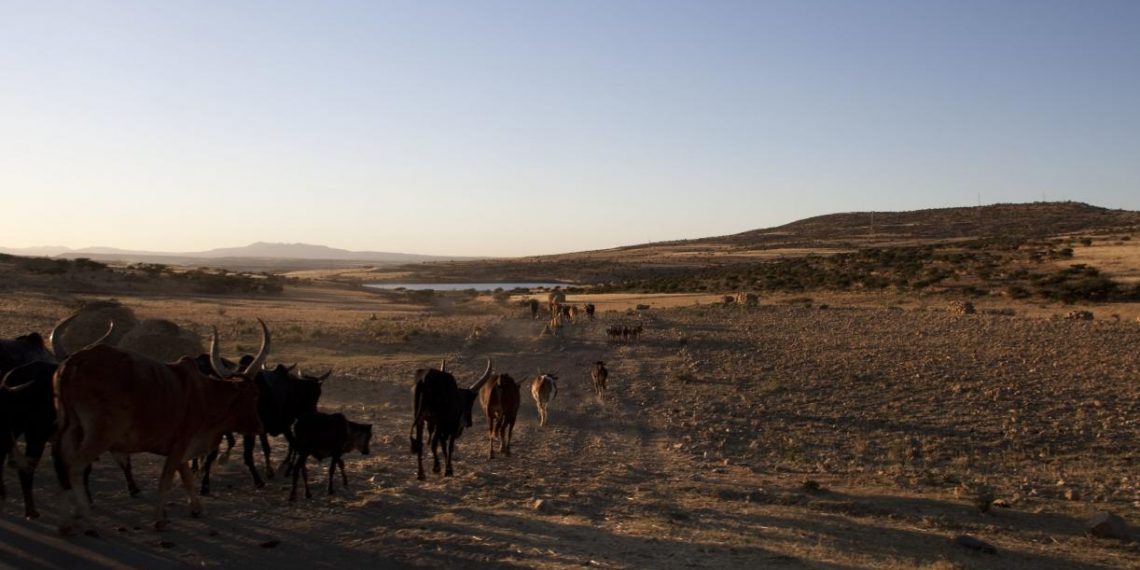 3 Ways to Reduce Water Risk in Ethiopia