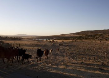 3 Ways to Reduce Water Risk in Ethiopia