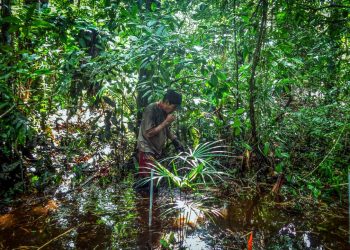 Why the Green Climate Fund Should Give Developing Countries Greater Direct Access to Finance