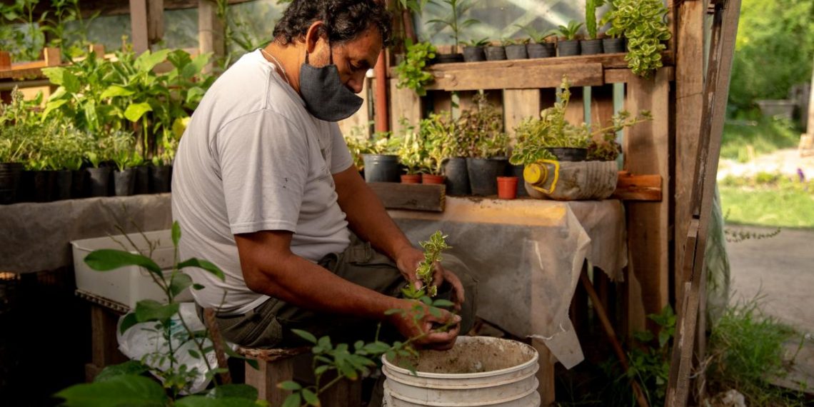 Rosario, Urban Farming Tackles Economic and Climate Crises