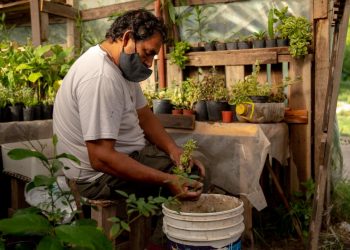 Rosario, Urban Farming Tackles Economic and Climate Crises