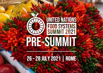Food Systems Summit 2021