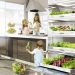 7 Sustainable Gardening Tips
