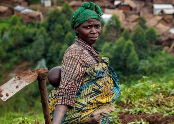 Sustainable development report shows devastating impact of COVID, ahead of ‘critical’ new phase |