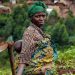Sustainable development report shows devastating impact of COVID, ahead of ‘critical’ new phase |