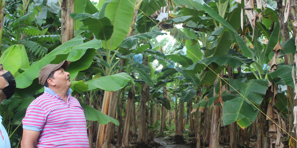 a legacy of hope – United Nations Sustainable Development