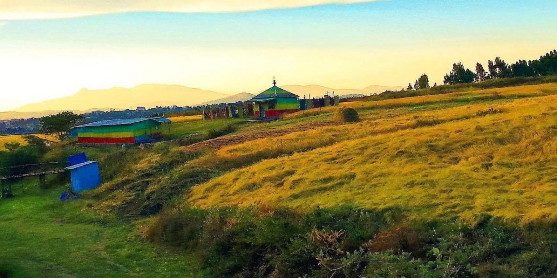 Ethiopia Demonstrates Renewed Commitment to Tackling Climate Change