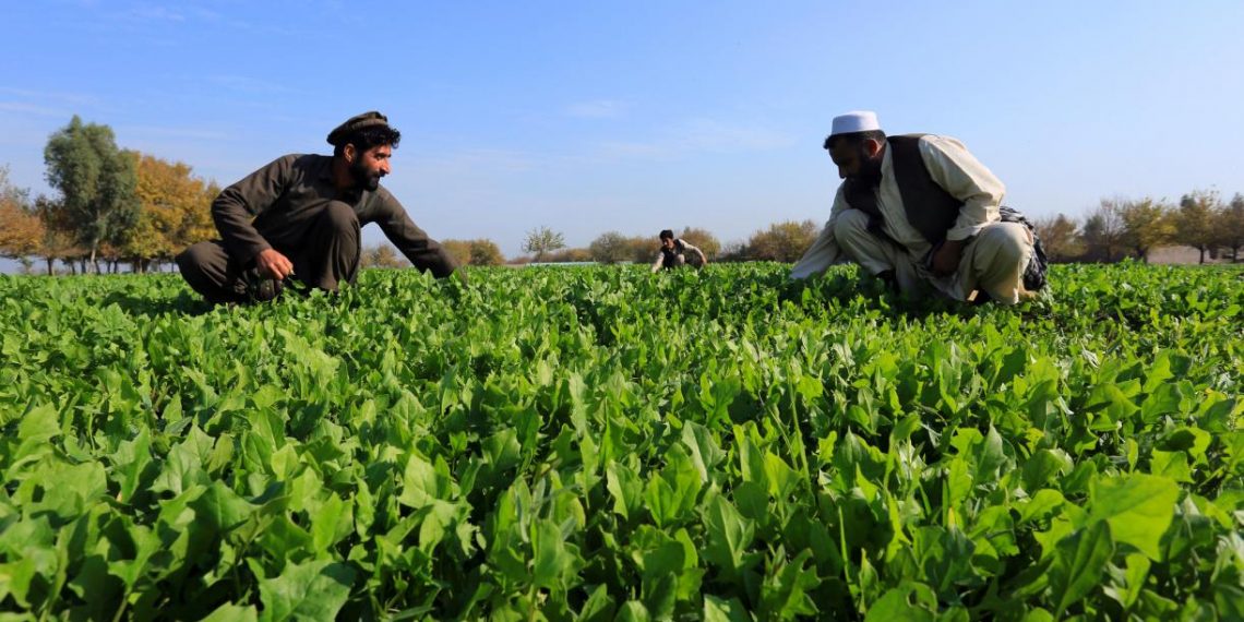 Key Insights from the 2020 Joint Report on Climate Finance