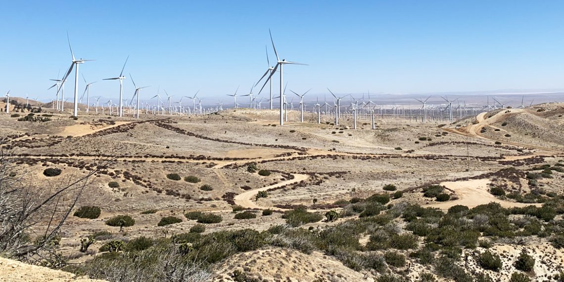 Repowering project underway at Terra-Gen’s 60-MW Oasis Wind