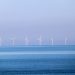 Biden administration advances offshore wind energy plans in California, North Carolina