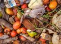 Food waste: a global problem that undermines healthy diets |