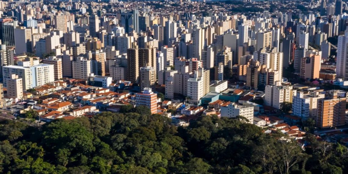 How Cities Are Transforming Forest Conservation