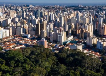 How Cities Are Transforming Forest Conservation
