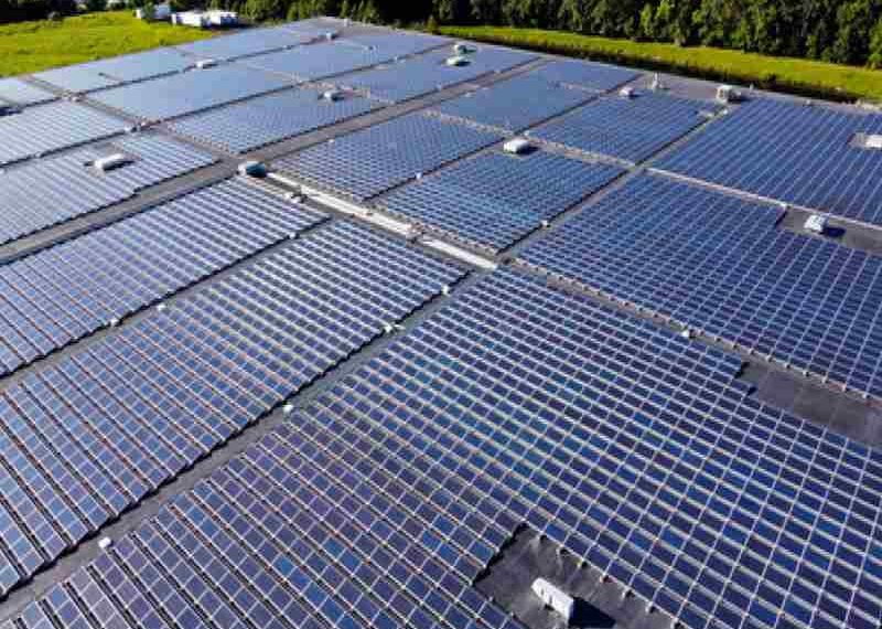 L’Oreal achieves carbon-neutrality across US operations