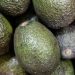 Food Heroes: Ethiopian avocado farmer’s ‘transformational’ crop |