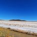1.5 billion people, living with soil too salty to be fertile  |