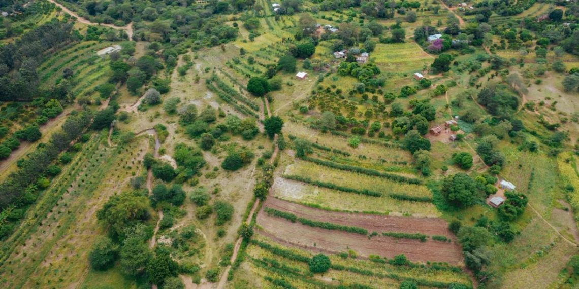 The Challenges of Monitoring Land Restoration in Africa & How to Improve the System
