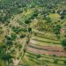 The Challenges of Monitoring Land Restoration in Africa & How to Improve the System