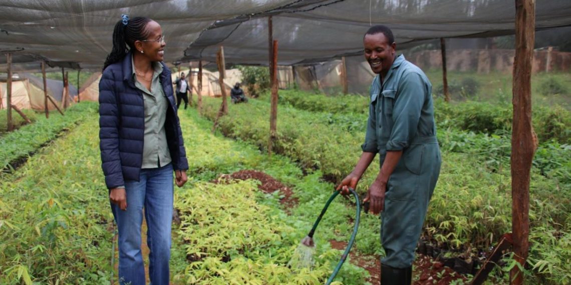 Financing African Entrepreneurs Will Reverse Land Degradation