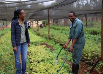 Financing African Entrepreneurs Will Reverse Land Degradation