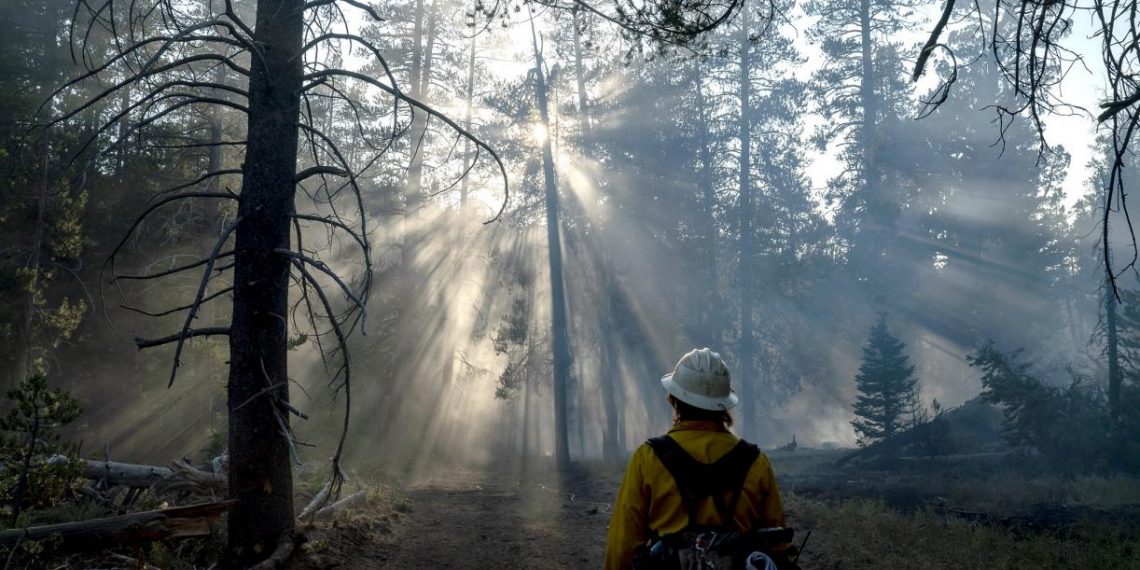 What Will it Take to Keep Global Warming to 1.5 C?