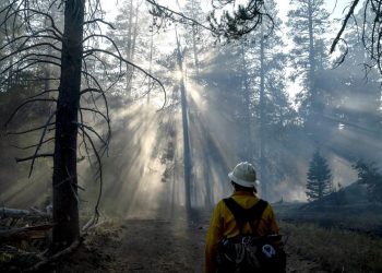 What Will it Take to Keep Global Warming to 1.5 C?