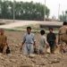 Act now to stamp out child labour by 2025: FAO chief |