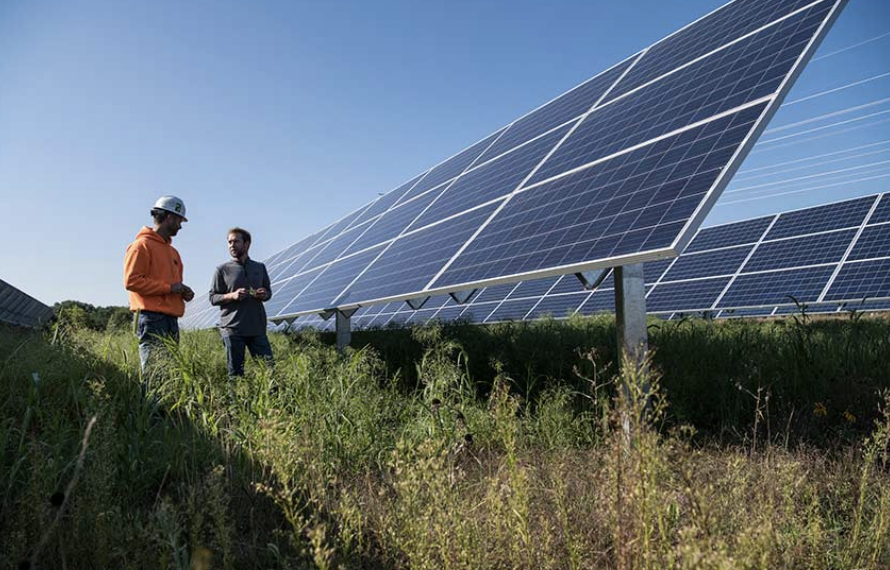 Beneath solar panels, the seeds of opportunity sprout