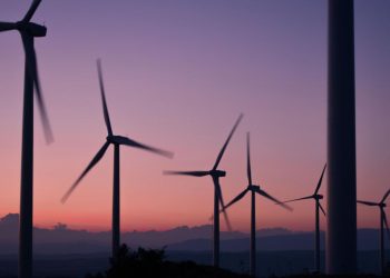 3 Ways Companies Can Show Their Net-zero Targets are Credible