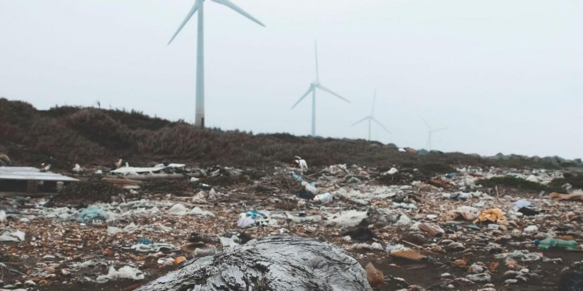 How the Circular Economy Can Help Nations Achieve Their Climate Goals