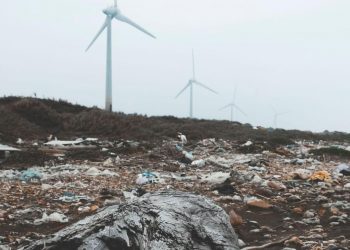 How the Circular Economy Can Help Nations Achieve Their Climate Goals
