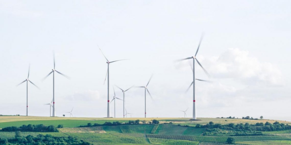 G20 Economies Have Tools for Green Recovery — They Just Aren’t Using Them Yet