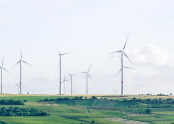 G20 Economies Have Tools for Green Recovery — They Just Aren’t Using Them Yet