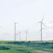 G20 Economies Have Tools for Green Recovery — They Just Aren’t Using Them Yet