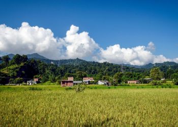 It’s About Time: The Climate Community Invests in Securing Community Land
