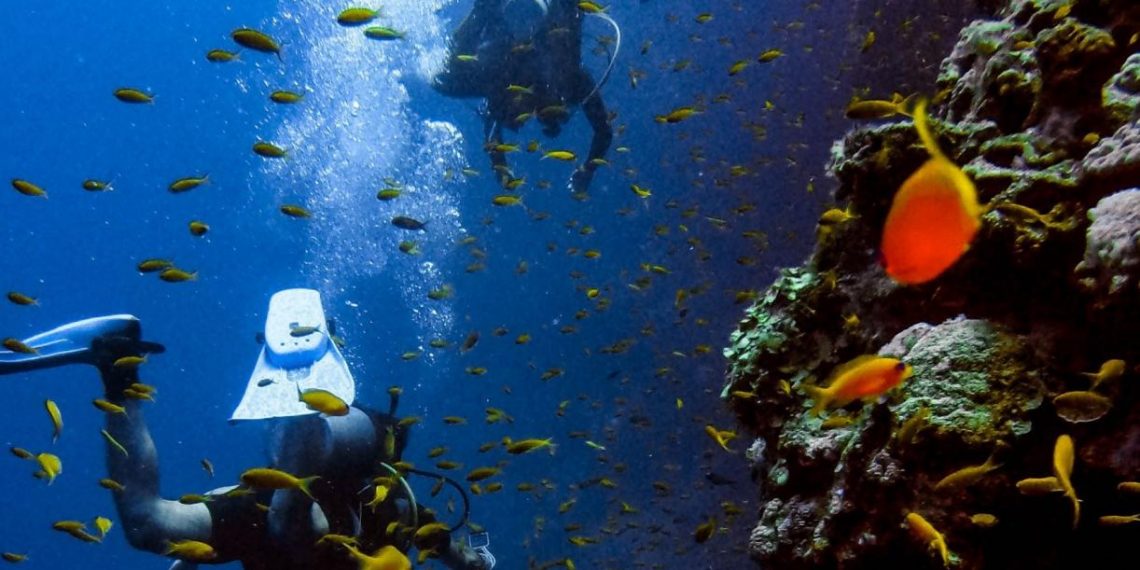 To Turn the Tide on Ocean Health, A Collaborative Data Platform Can Help