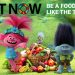 DREAMWORKS TROLLS AND THE UN LAUNCH CAMPAIGN FOR HEALTHIER EATING AND MORE SUSTAINABLE LIVING – United Nations Sustainable Development