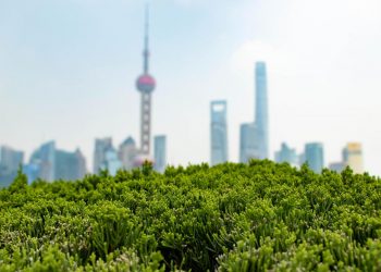 5 Ways China’s Cities Can Drive Equitable and Sustainable Urbanization