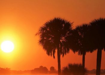 2021 joins top 7 warmest years on record: WMO |