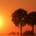 2021 joins top 7 warmest years on record: WMO |