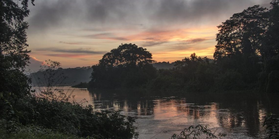 5 Actions to Ensure Community Forestry Works in the Republic of Congo