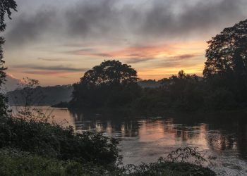5 Actions to Ensure Community Forestry Works in the Republic of Congo