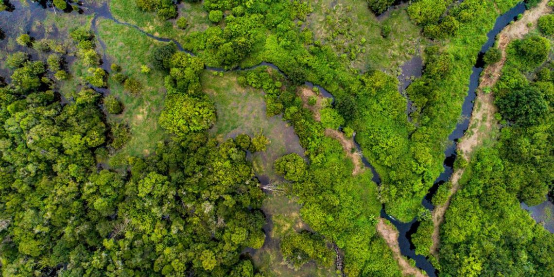 Climate Action in Southeast Asia Must Include Peatland Mapping