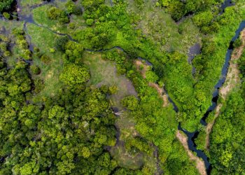 Climate Action in Southeast Asia Must Include Peatland Mapping