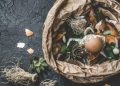A Beginner’s Guide To Organic Recycling