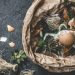 A Beginner’s Guide To Organic Recycling