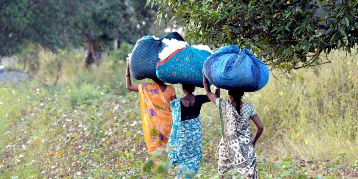 The Innovative Business Models That Can Transform Cotton Supply Chains