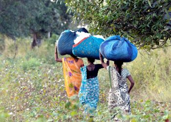 The Innovative Business Models That Can Transform Cotton Supply Chains