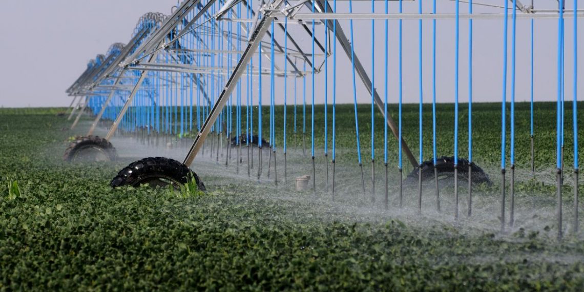 How Agribusiness Can Mitigate Water Risk