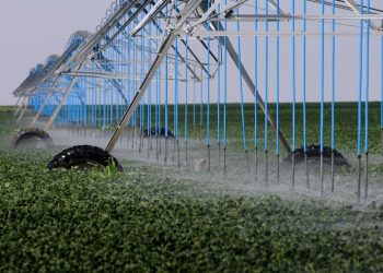 How Agribusiness Can Mitigate Water Risk